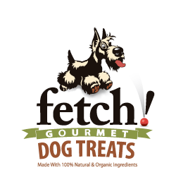 fetch