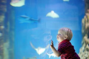 A toddler at an aquarium