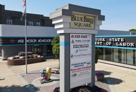Blue Bird Square in Olean, NY