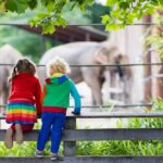 Two children watching an elephant at a zoo