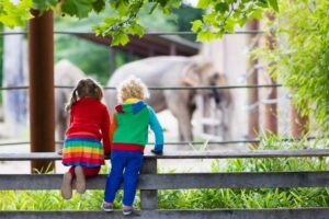 Two children watching an elephant at a zoo