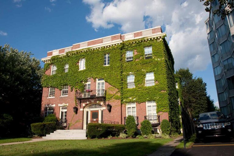 857 Delaware Ave Apartments 857 Delaware Ave Apartments